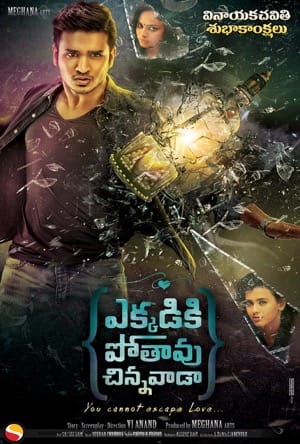 Ekkadiki Pothavu Chinnavada Full Movie Download Free 2016 Hindi HD